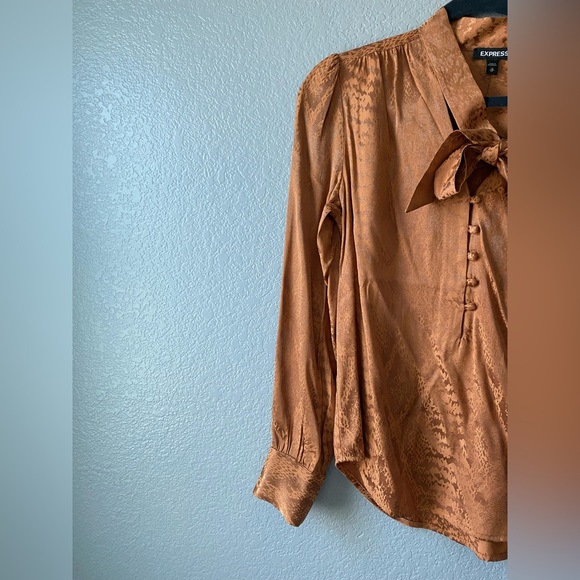 Express buttoned down blouse - Picture 4 of 8